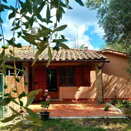 All'Ombra Degli Olivi Pisciarelli Esterno foto