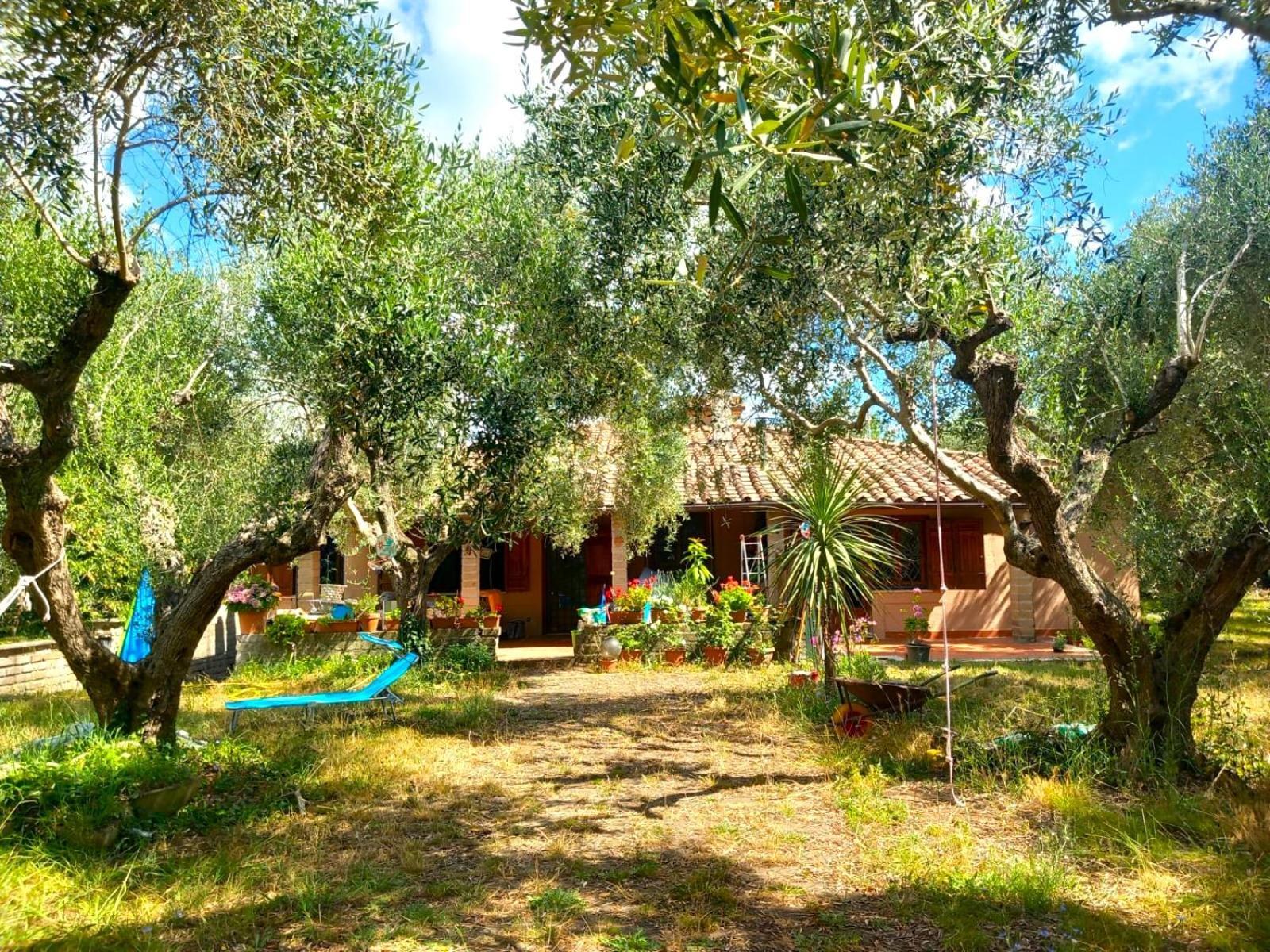 All'Ombra Degli Olivi Pisciarelli Esterno foto