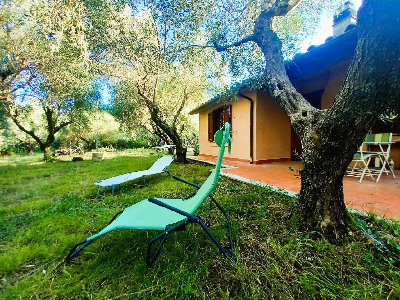 All'Ombra Degli Olivi Pisciarelli Esterno foto